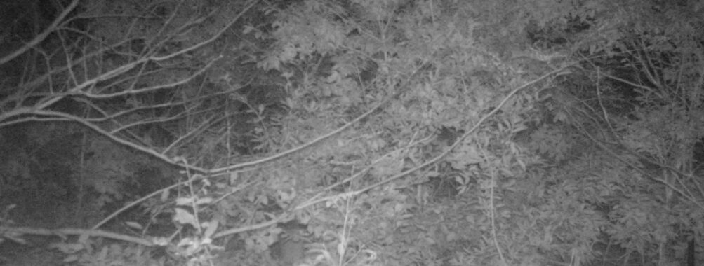 Oct 23 2025 21:00:30, #01