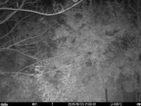 Oct 23 2025 21:00:30, #01