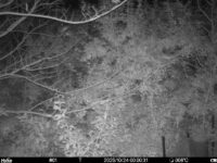 Oct 24 2025  0:00:31, #01