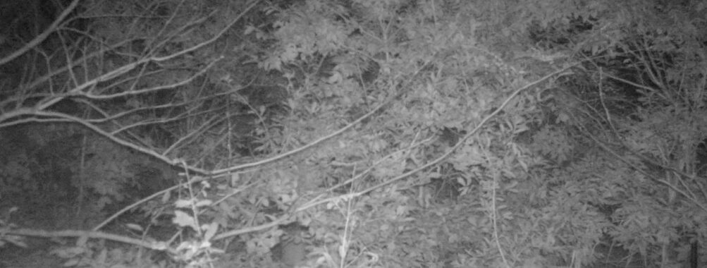 Oct 24 2025  3:00:31, #01