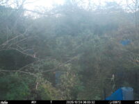 Oct 24 2025  6:00:32, #01