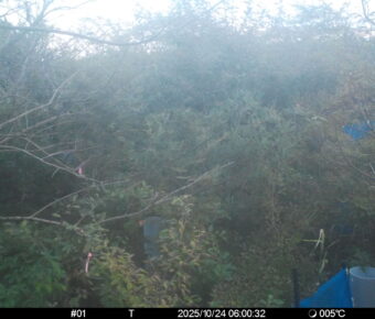 Oct 24 2025  6:00:32, #01