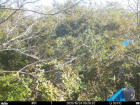 Oct 24 2025  9:00:32, #01