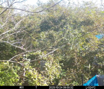 Oct 24 2025  9:00:32, #01