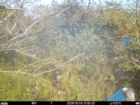 Oct 24 2025 12:00:32, #01