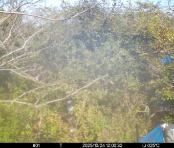 Oct 24 2025 12:00:32, #01
