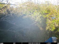 Oct 24 2025 15:00:32, #01