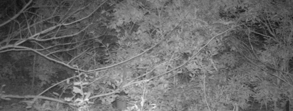 Oct 24 2025 18:00:31, #01