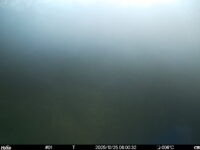 Oct 25 2025  6:00:32, #01