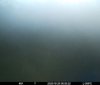 Oct 25 2025  6:00:32, #01