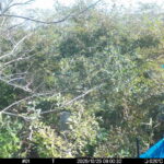 Oct 25 2025  9:00:32, #01