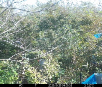 Oct 25 2025  9:00:32, #01