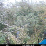 Oct 25 2025 12:00:32, #01