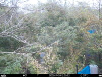 Oct 25 2025 12:00:32, #01