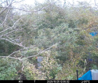 Oct 25 2025 12:00:32, #01