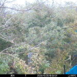 Oct 25 2025 15:00:31, #01