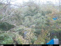 Oct 25 2025 15:00:31, #01