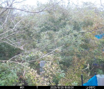 Oct 25 2025 15:00:31, #01