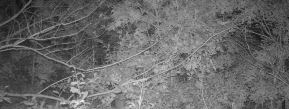 Oct 25 2025 18:00:32, #01