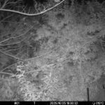 Oct 25 2025 18:00:32, #01