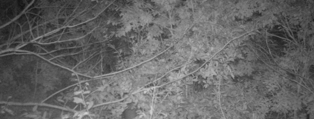 Oct 25 2025 21:00:31, #01