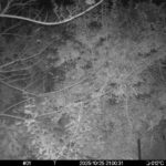 Oct 25 2025 21:00:31, #01