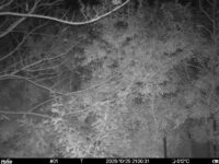 Oct 25 2025 21:00:31, #01