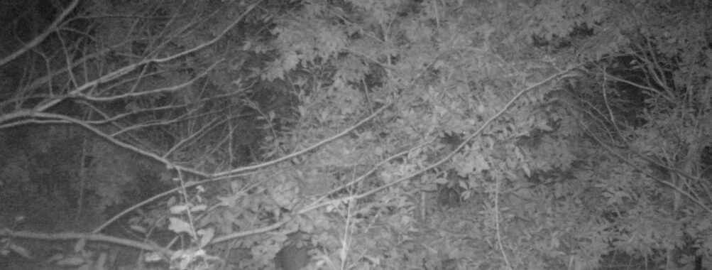 Oct 26 2025  0:00:30, #01