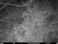 Oct 26 2025  0:00:30, #01