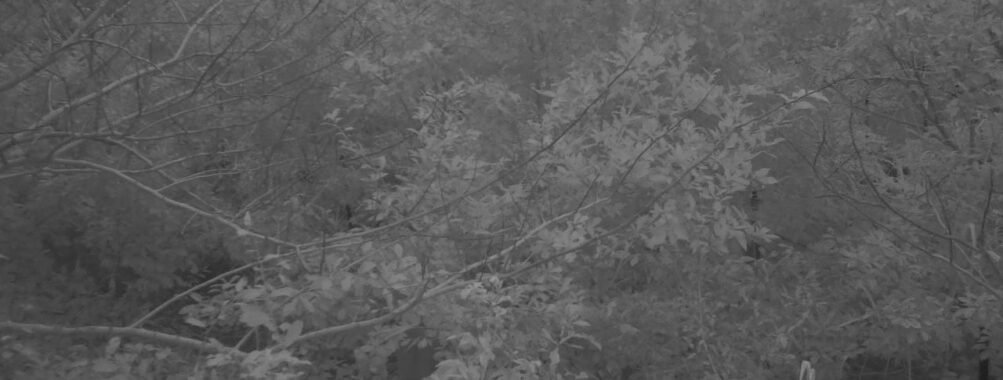 Oct 26 2025  6:00:31, #01