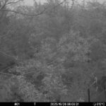 Oct 26 2025  6:00:31, #01