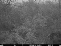 Oct 26 2025  6:00:31, #01