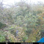 Oct 26 2025  9:00:31, #01