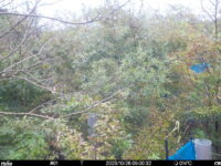 Oct 26 2025  9:00:31, #01