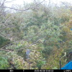 Oct 26 2025 12:00:32, #01