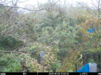 Oct 26 2025 12:00:32, #01