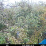 Oct 26 2025 15:00:32, #01