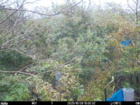 Oct 26 2025 15:00:32, #01