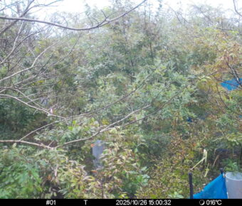 Oct 26 2025 15:00:32, #01