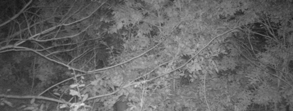 Oct 26 2025 18:00:32, #01