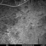 Oct 26 2025 18:00:32, #01