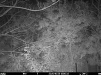 Oct 26 2025 18:00:32, #01