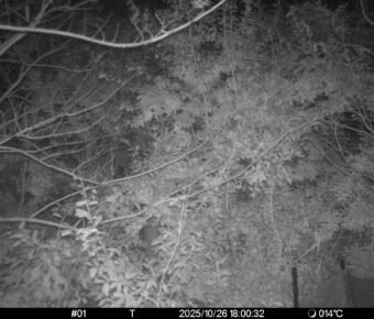 Oct 26 2025 18:00:32, #01