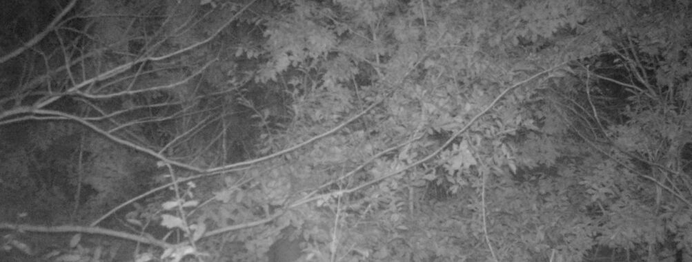 Oct 26 2025 21:00:31, #01