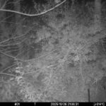 Oct 26 2025 21:00:31, #01