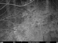 Oct 26 2025 21:00:31, #01