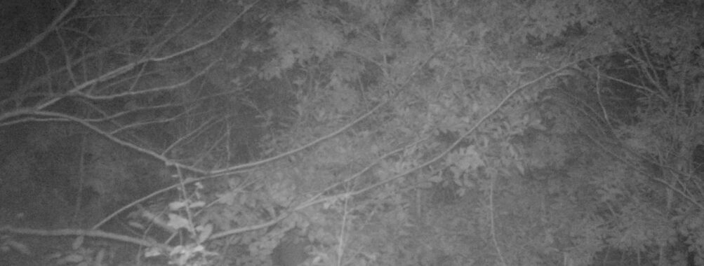 Oct 27 2025  0:00:31, #01