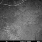 Oct 27 2025  0:00:31, #01