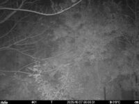 Oct 27 2025  0:00:31, #01