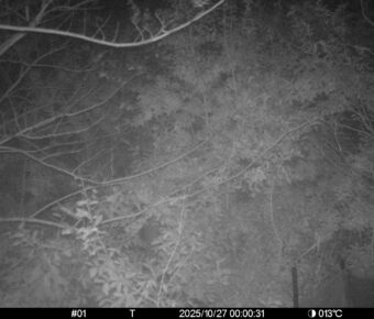 Oct 27 2025  0:00:31, #01